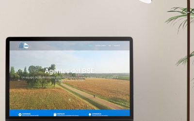 Sitio Web – Agentes del BSE