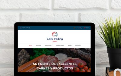 Sitio Web – Casti Trading